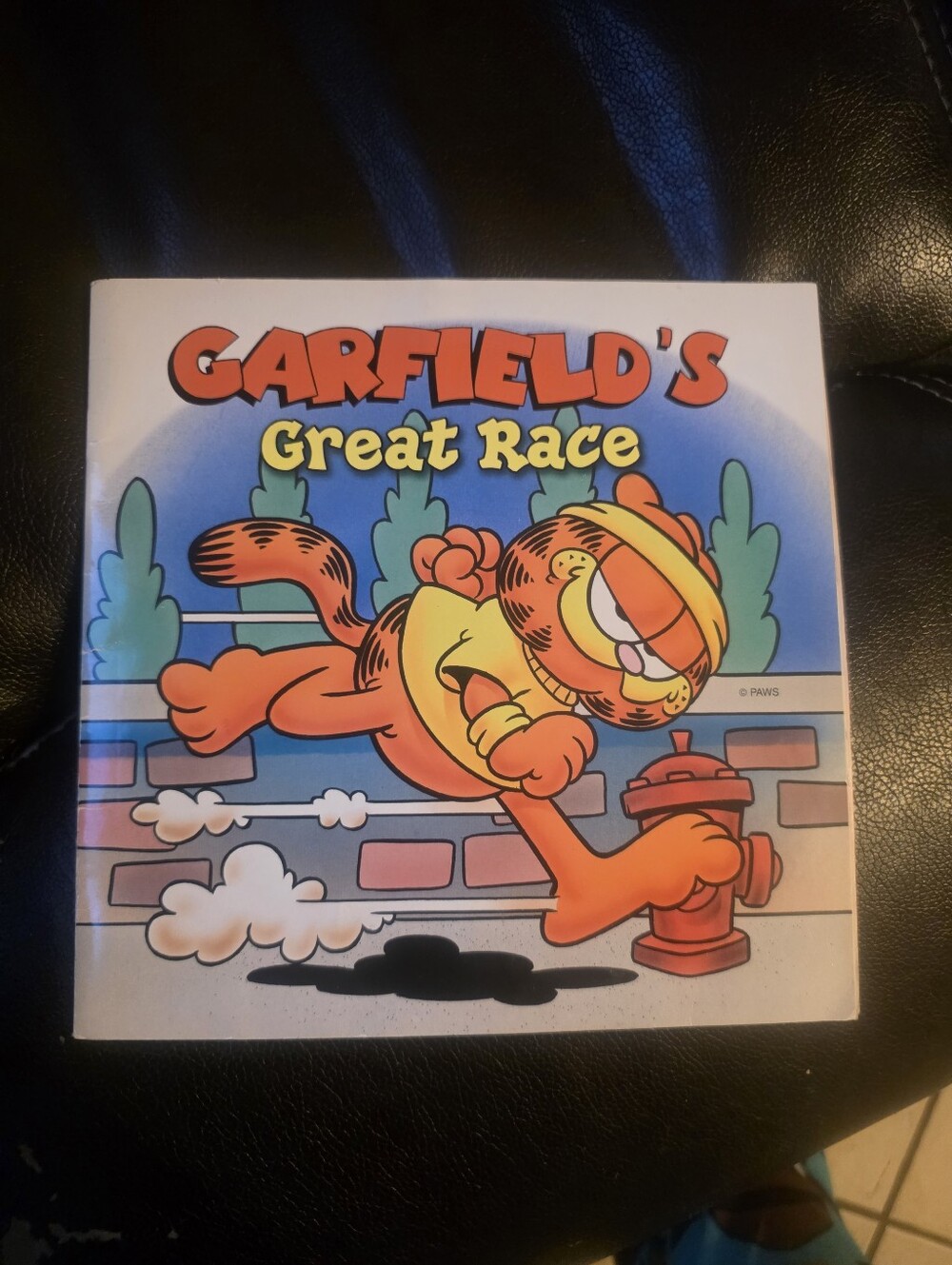 Garfields Great Race Jim Davis Book